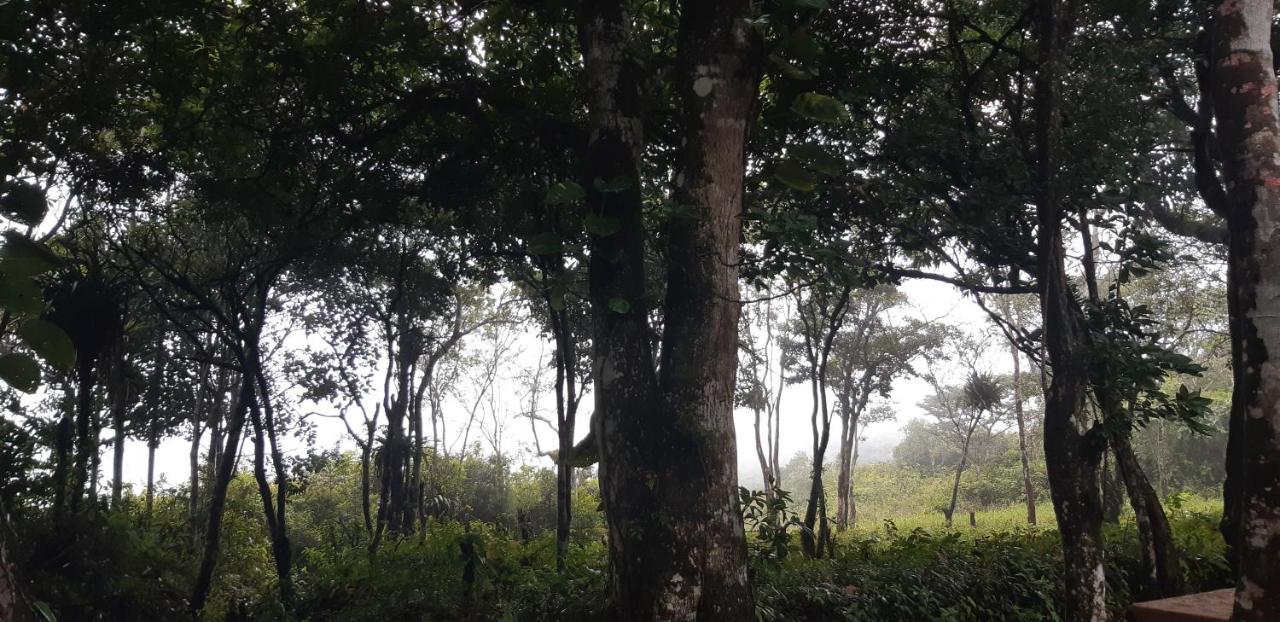 Pousada De Serra Tutuca Guaramiranga Esterno foto